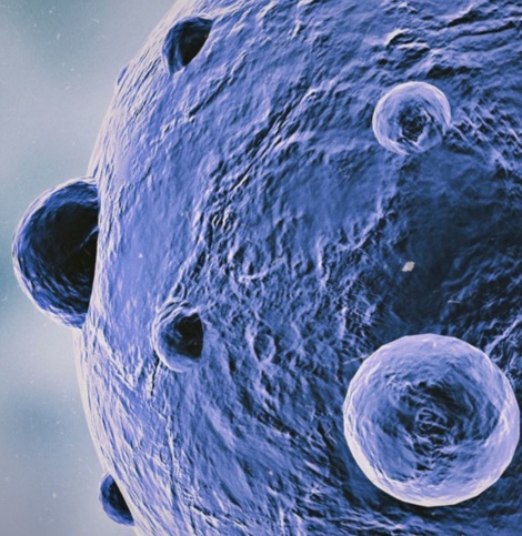 enterprise-immune-system