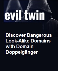 domain doppelganger